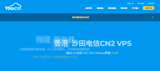 95IDC测评 - CN2 GIA线路/多IP站群/海外服务器选择-国外VPS测评