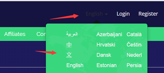 美国西雅图高防VPS推荐：TMTHosting月付低至4.75美元，支持正版Windows与支付宝支付（附详细注册教程）-国外VPS测评